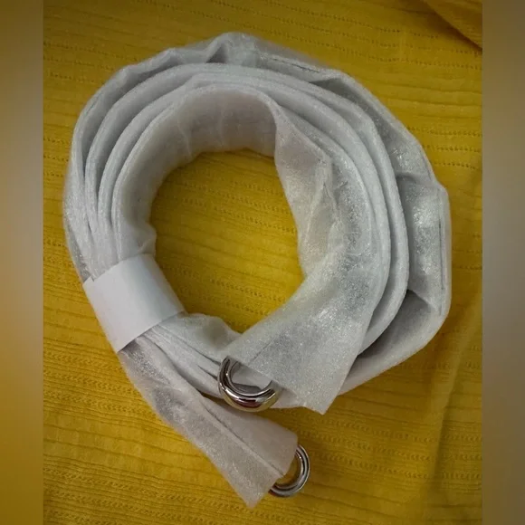 New With Tags, Michael Kors Sandrine Silver Small Box Crossbody Bag - Picture 11 of 16